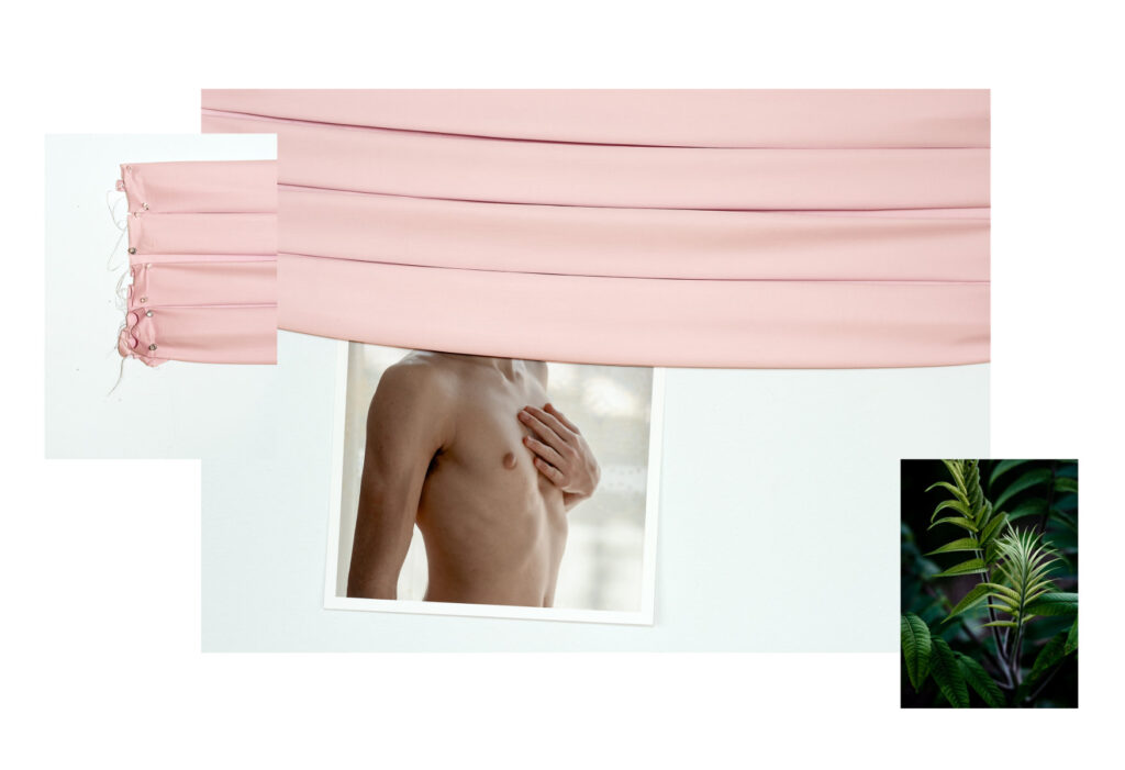 A photo montage of a large pink cloth folded into pleats resting on top of a photo of a male figure's torso against a blue background and to the right a photo of a fern occupies the lower right space.